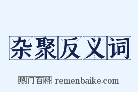 杂聚反义词是什么意思的图片